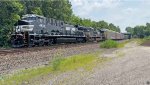 NS 4832 is new to rrpa.